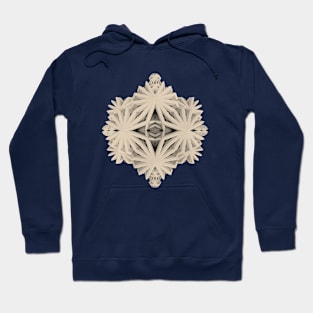 Ancient Calaabachti Filigrane Hoodie